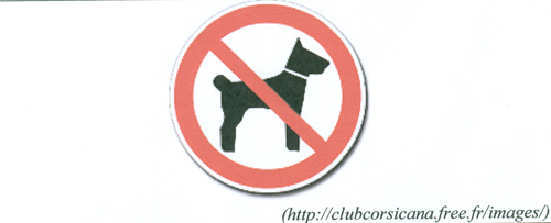 image_pat7_fr1_4.jpg